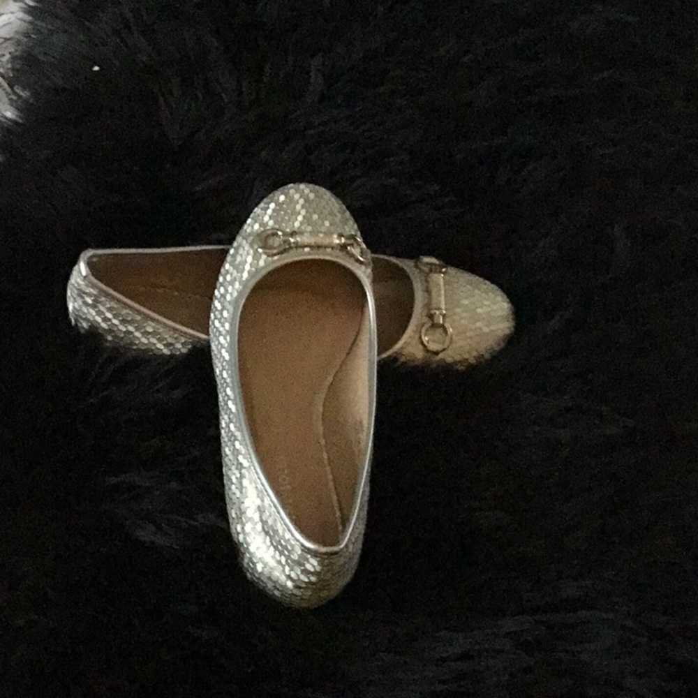 Silver flats - new